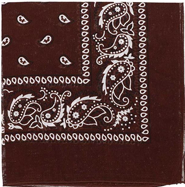 Paisley Cotton Bandanas Dozen Pack 22X22 (16 Colors)
