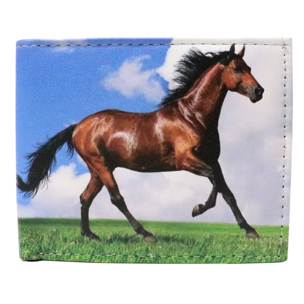 Mens Printed Wallets Dozen Pack (16 Styles)